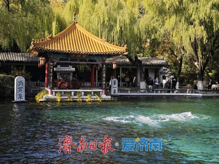 一年四季 泉在济南丨趵突泉金秋菊展进入最佳观赏期 “一菊连三园”共绘泉城初冬胜景