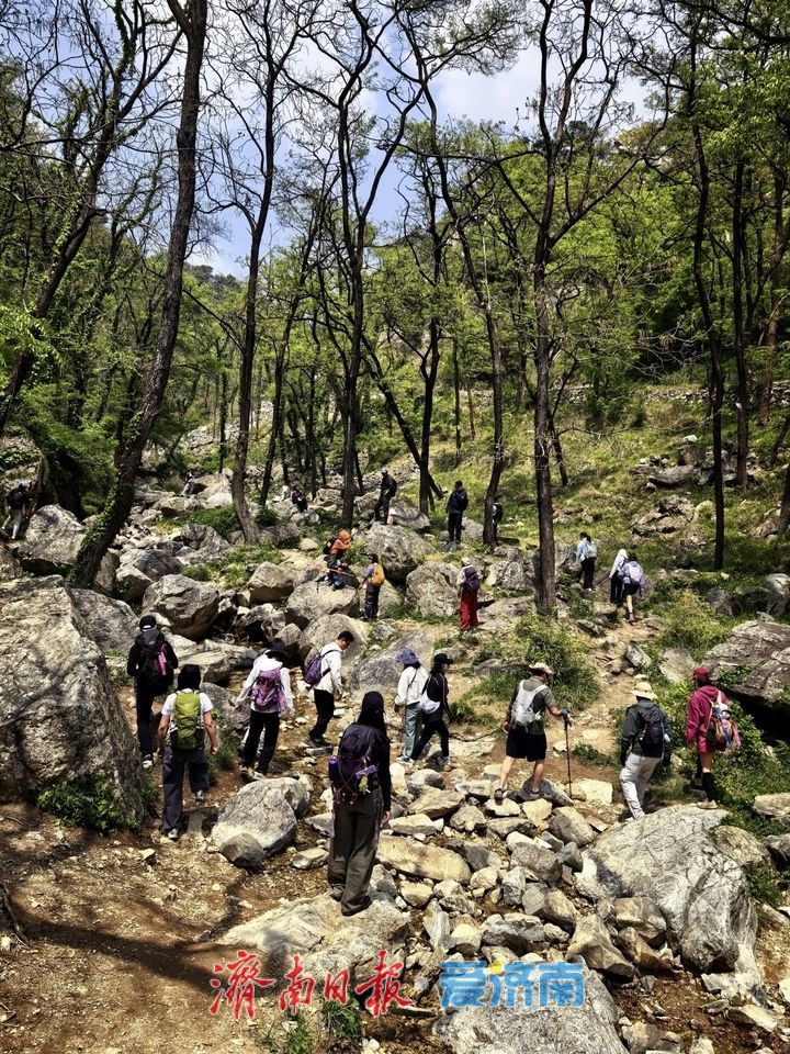 一年四季 泉在济南丨徒步药乡 奔赴山林之约