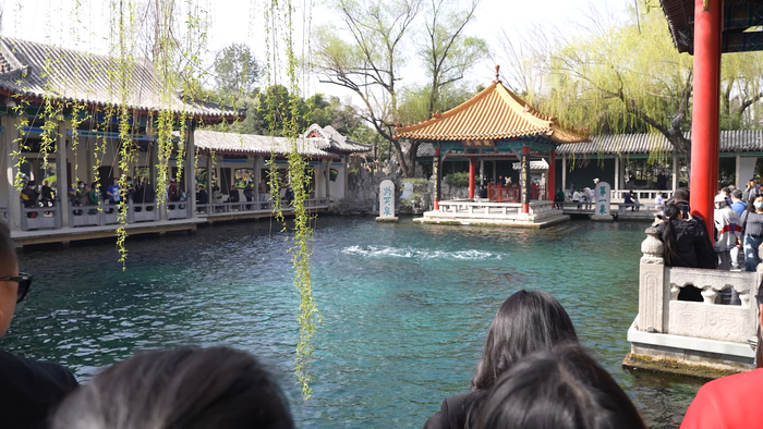 赏花、看柳、寻泉……提前预习济南的春天