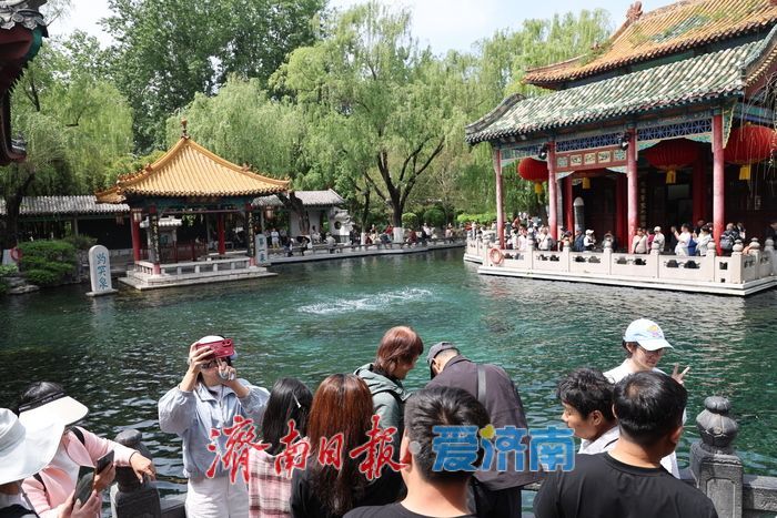 一年四季 泉在济南丨谷雨补泉涌 趵突泉地下水位三天上涨5厘米