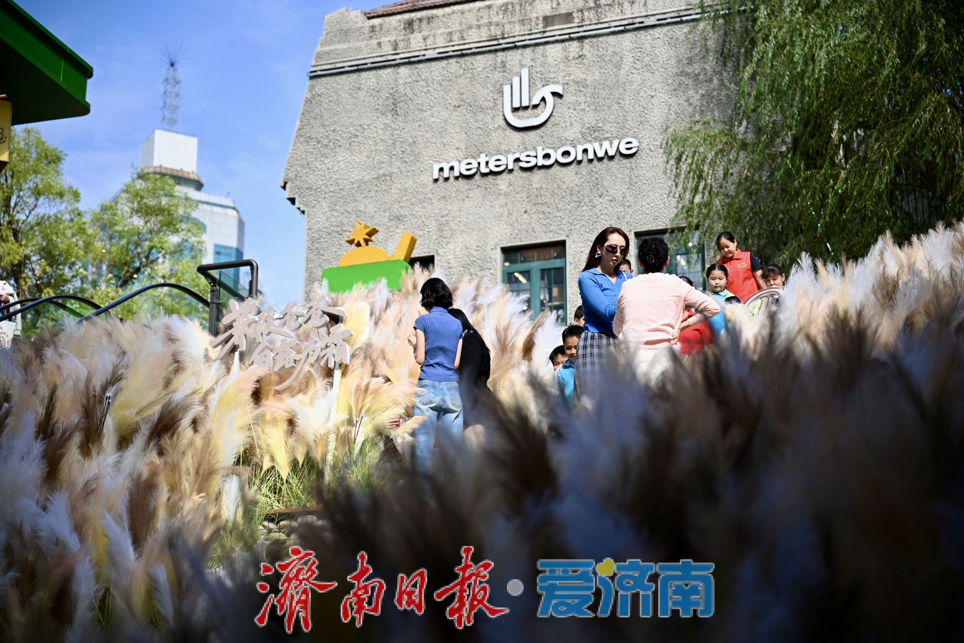 芦荻纷飞秋意浓 济南老商埠十一打卡热度持续攀升