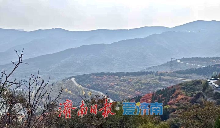 一年四季 泉在济南丨济南劈山进入红叶最佳观赏期