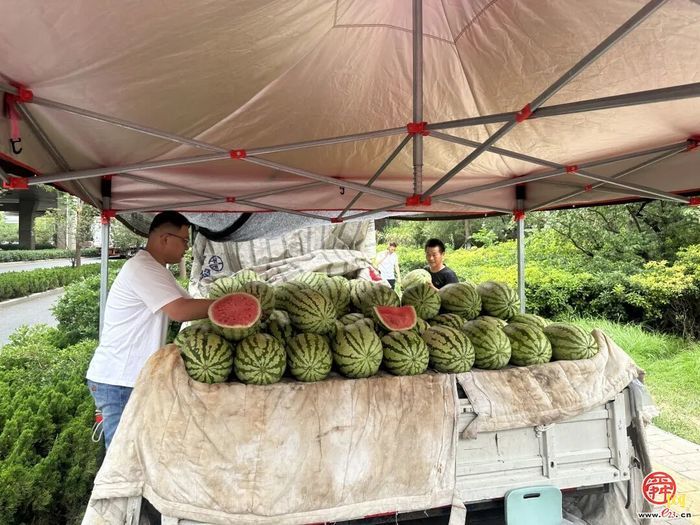 2025·济南城管这一年