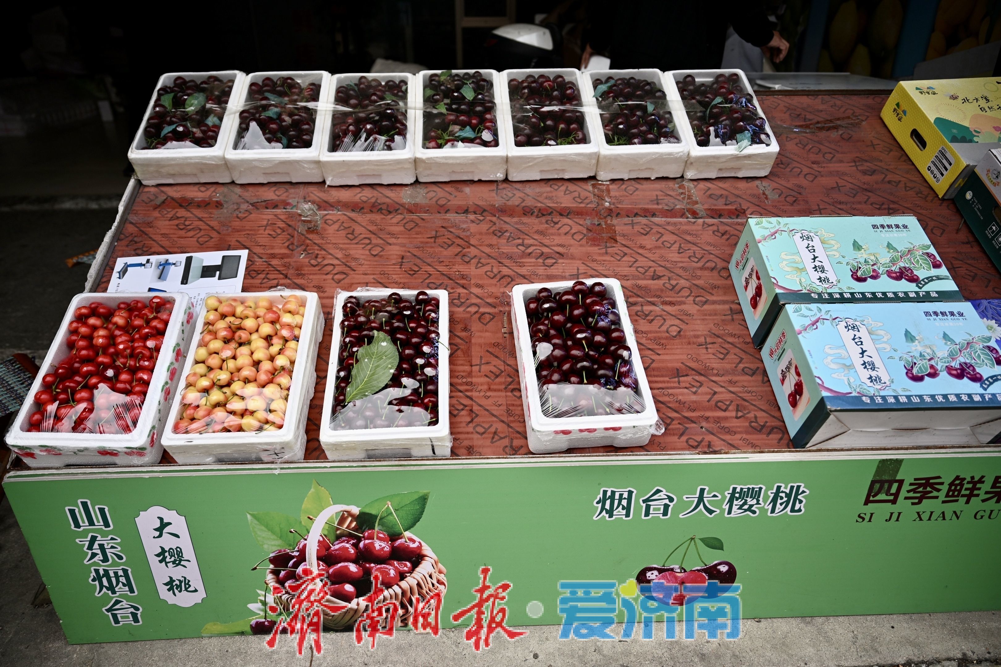 堤口果品批发市场迎樱桃购销热潮 南山樱桃成焦点