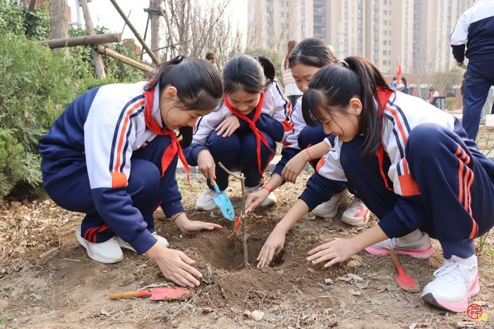济南市天桥区枫景小学开展植树节活动