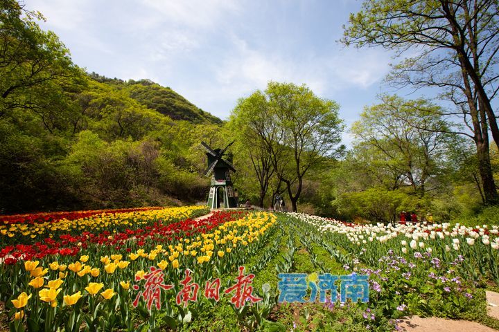 七大主题、300+活动，五一来济南玩出新花样！