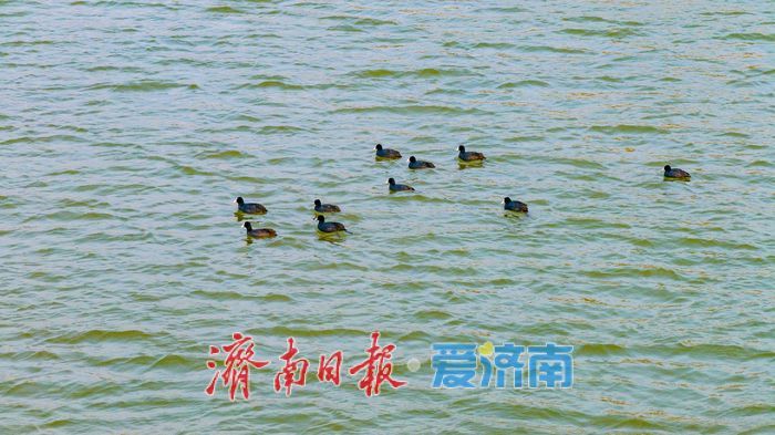 春光作序万物生 绣源河畔踏青正当时