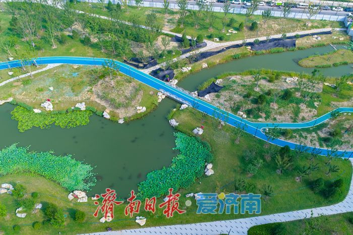 寄情水岸绿意 白泉生态景观廊道重塑城市滨水画卷