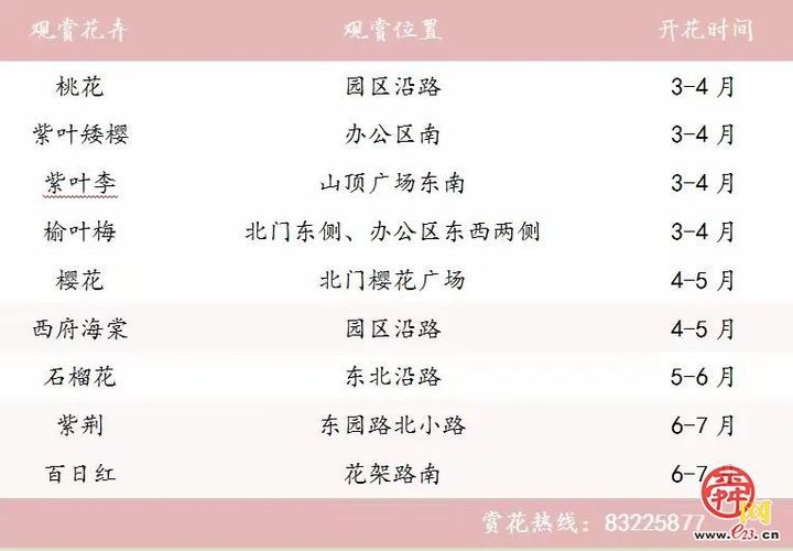 “马”上开花！章丘城区公园赏花地图出炉，开启春日好时光！