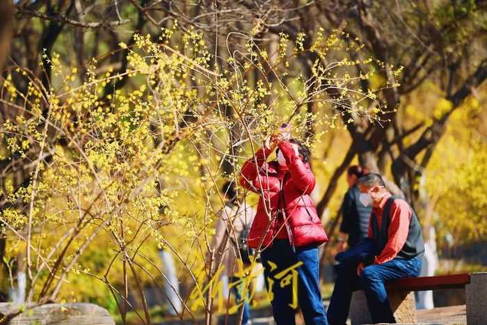 登千佛山能邂逅哪些“花海”？记者为您提前“探路”