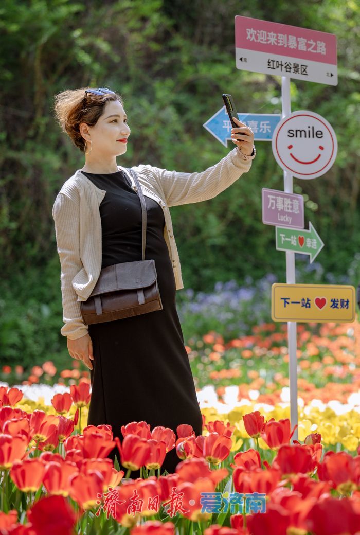 一年四季 泉在济南丨泉城春满山谷间！济南红叶谷郁金香与二月兰织就春日浪漫图景