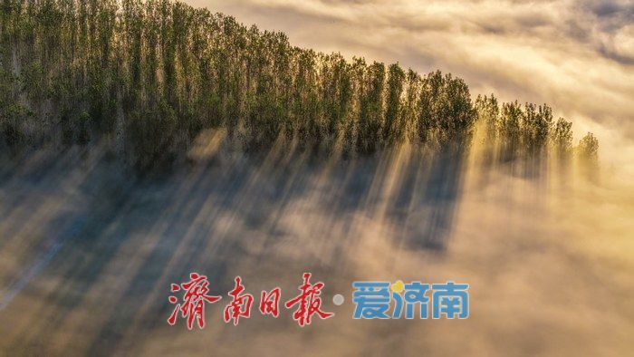 长河披纱，秋色如画
