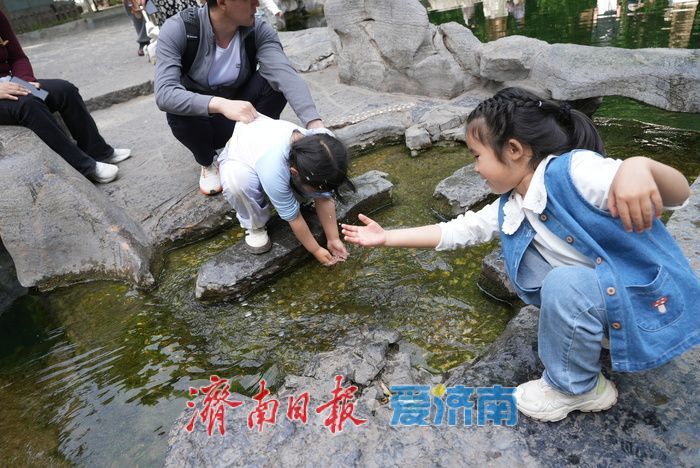 一年四季 泉在济南｜泉城春日似夏 泉水欢涌引客来
