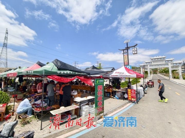 樱桃丰产搭上物流快车 映红乡村振兴好图景