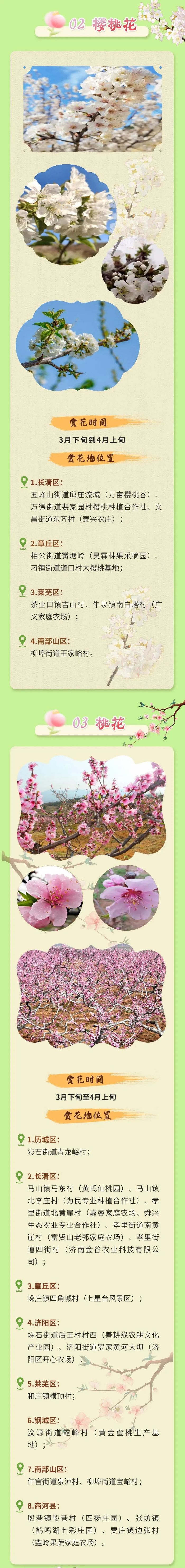 这些植物既能“吃”又能“赏”，济南市特色林果春季赏花攻略来啦