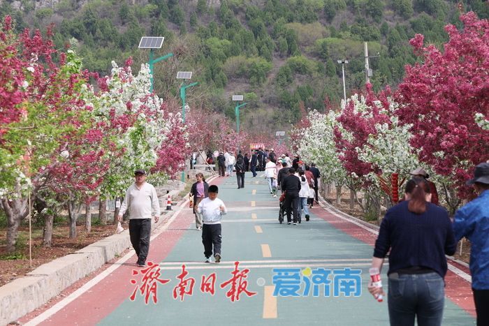 千亩海棠盛放寄母山 赏花经济激活乡村增收