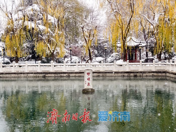 一年四季 泉在济南丨济南珍珠泉银装素裹更显灵动