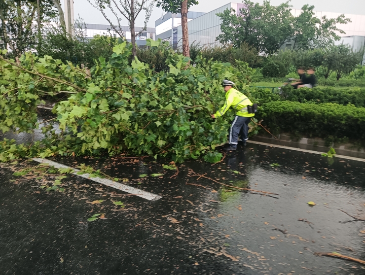 强降雨来袭济南街头大树添“堵” 他们逆行守护“雨天出行”