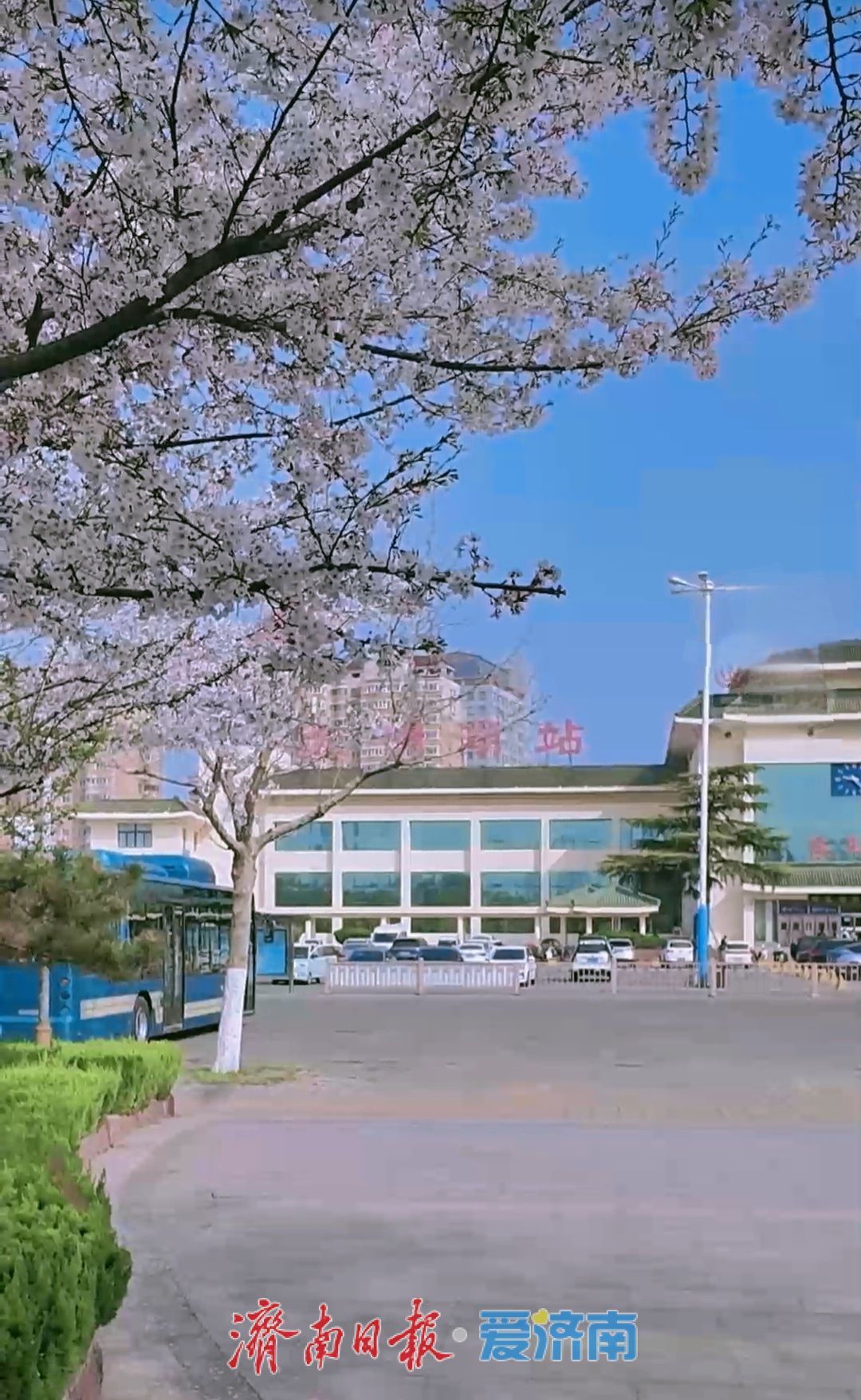 泉城限定浪漫，大明湖站太好看了