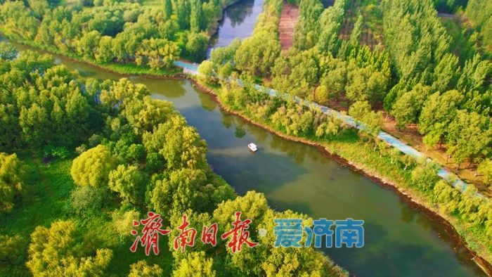 初秋画卷徐徐展开，济西湿地引客来