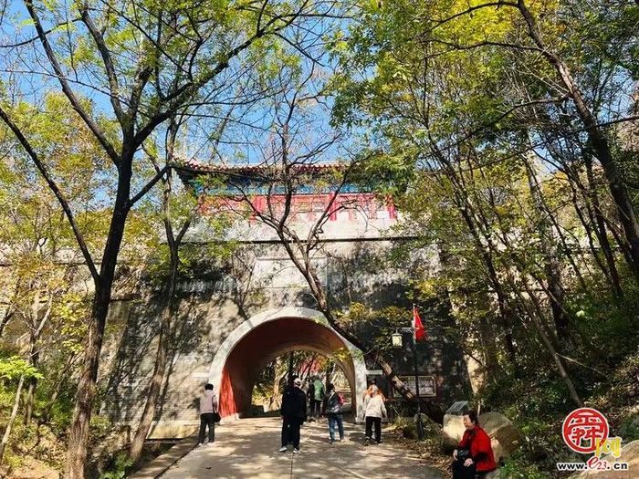 垛庄镇：秋意浓文旅热，“漫山红叶”引领赏秋新风尚