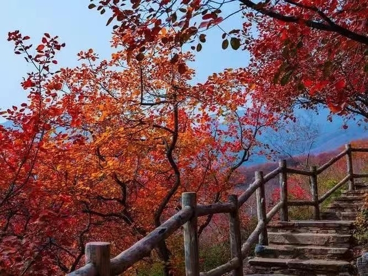 赏泉城美景，品泉城美食！全国粮油展邀您11月6日相约济南