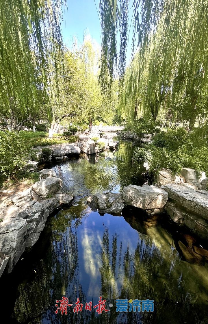 济南地下水位持续攀升，“亲泉”赏景正相宜