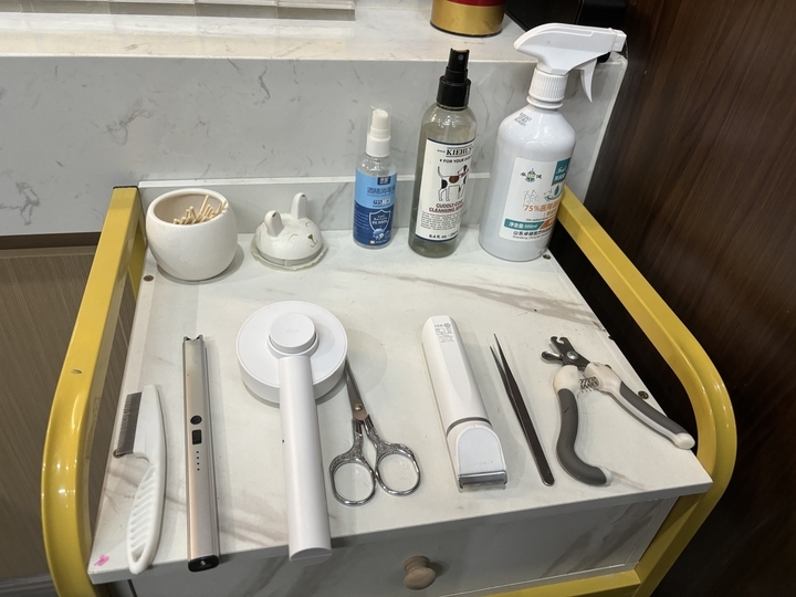 三位济南姑娘转行“宠物殡葬师” 为上千只宠物举行告别仪式