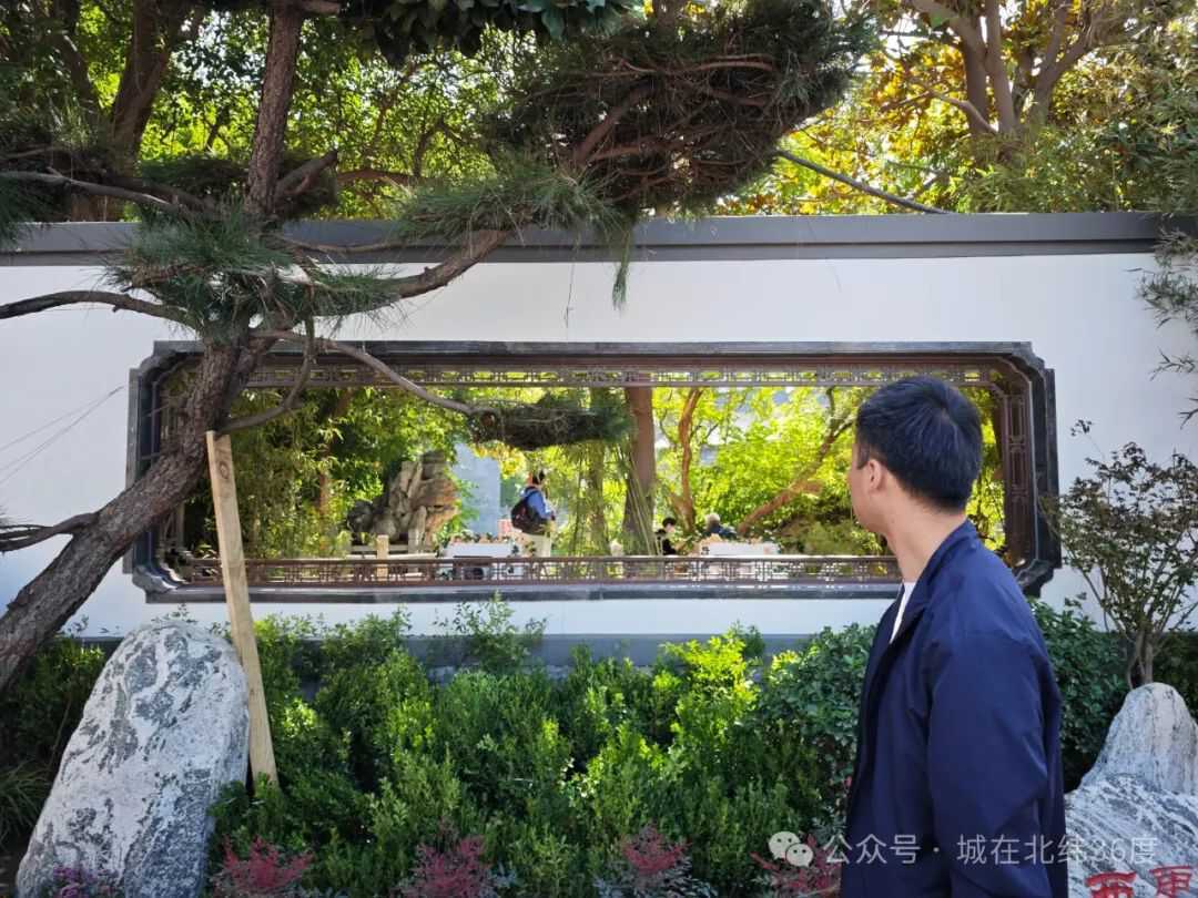 “泉”在济南享金秋｜济南明府城“上新”，遇见多重惊喜……