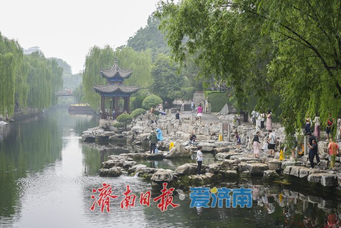 一年四季 泉在济南丨夏雨送清凉，济南护城河畔风景如画