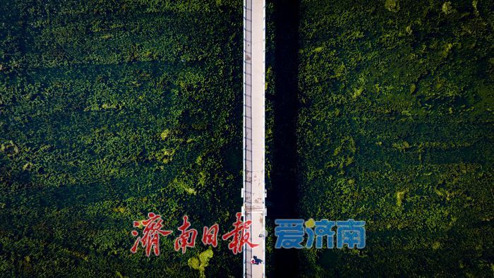 晴日里的生态画卷 济南腊山腊山河尽显人与自然和谐之美