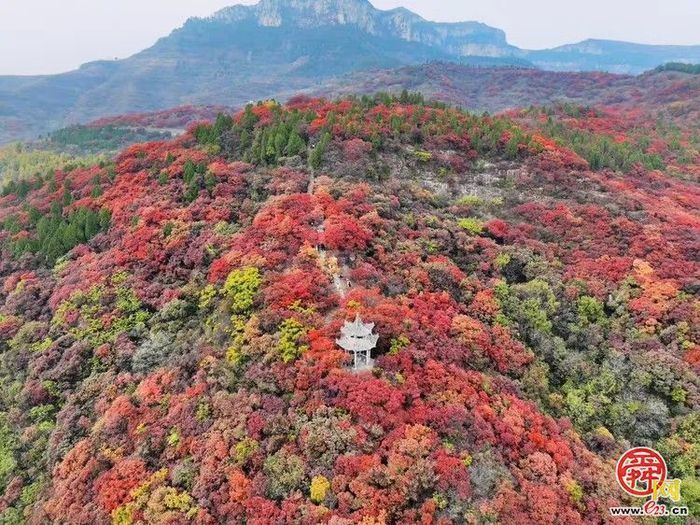 垛庄镇：秋意浓文旅热，“漫山红叶”引领赏秋新风尚