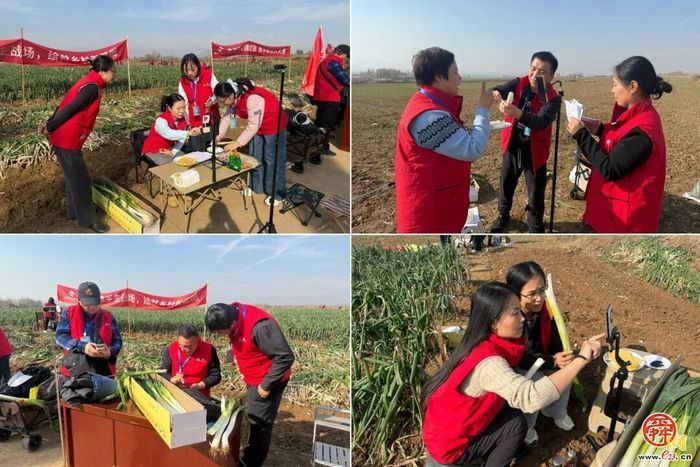 6小时助农成交3000余斤大葱 济南农业数字兵团首战告捷!原产地直播架起助农产销桥