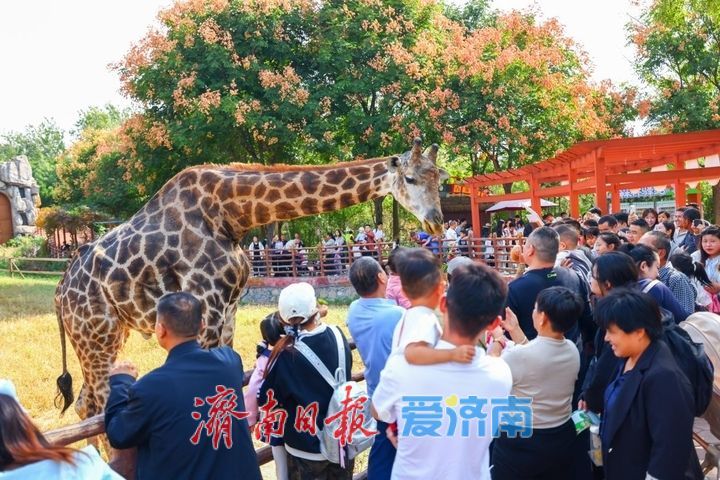  赏秋、观演……漫游泉城好自在！国庆假期第四天济南30家景区共接待游客80.93万人次