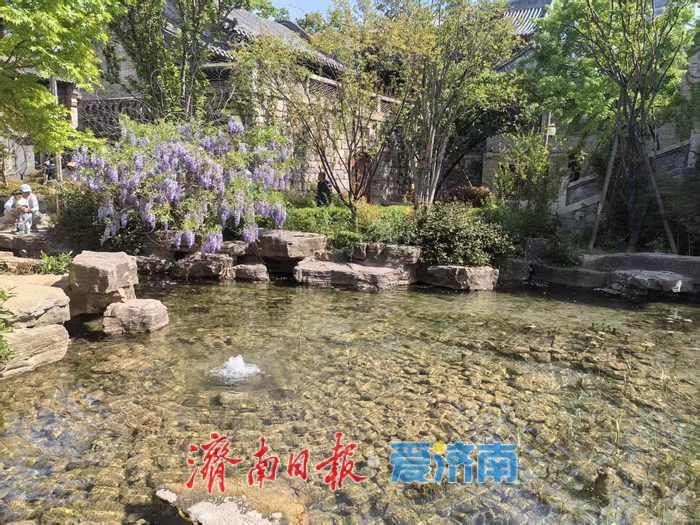 济南这个地方小桥流水四月天，疏花绿柳超出片