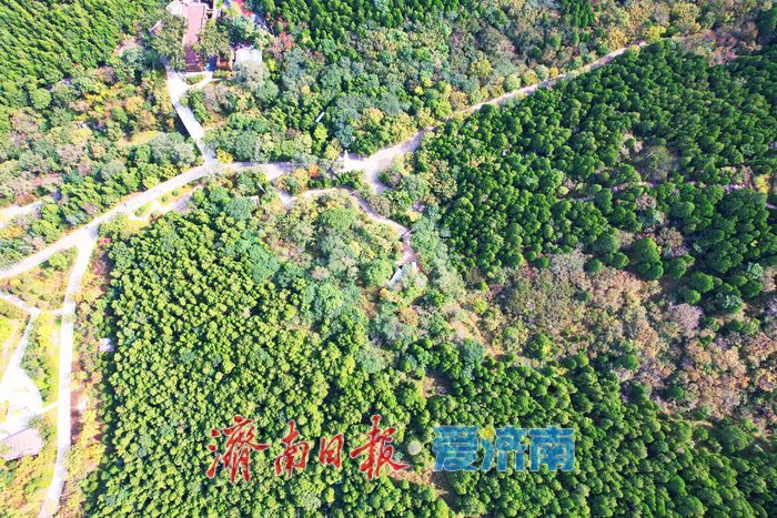 金秋染林间 佛慧山景区秋色引客来