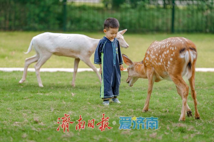 一年四季 泉在济南丨鲜花港杉林水乐园、杉水间营地开业,解锁夏日清凉潮玩法