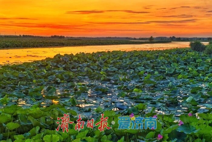 国家重要湿地白云湖的逆袭路