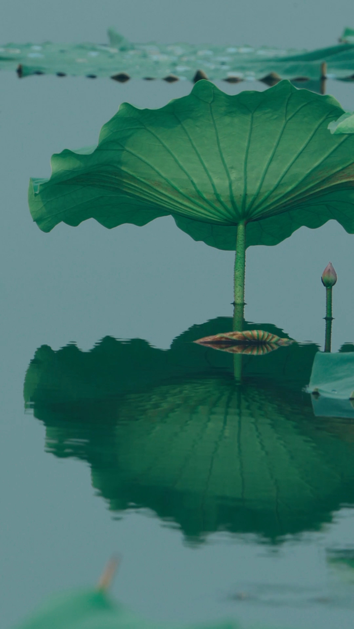 在华山邂逅现代版的“孤舟蓑笠翁”