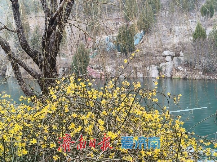 春风拂绿历阳湖 泉城醉美入画来