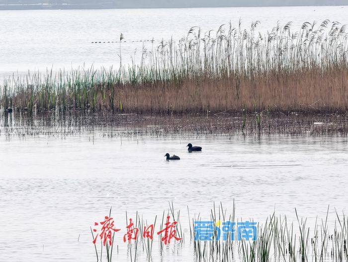 水墨晕染华山湖