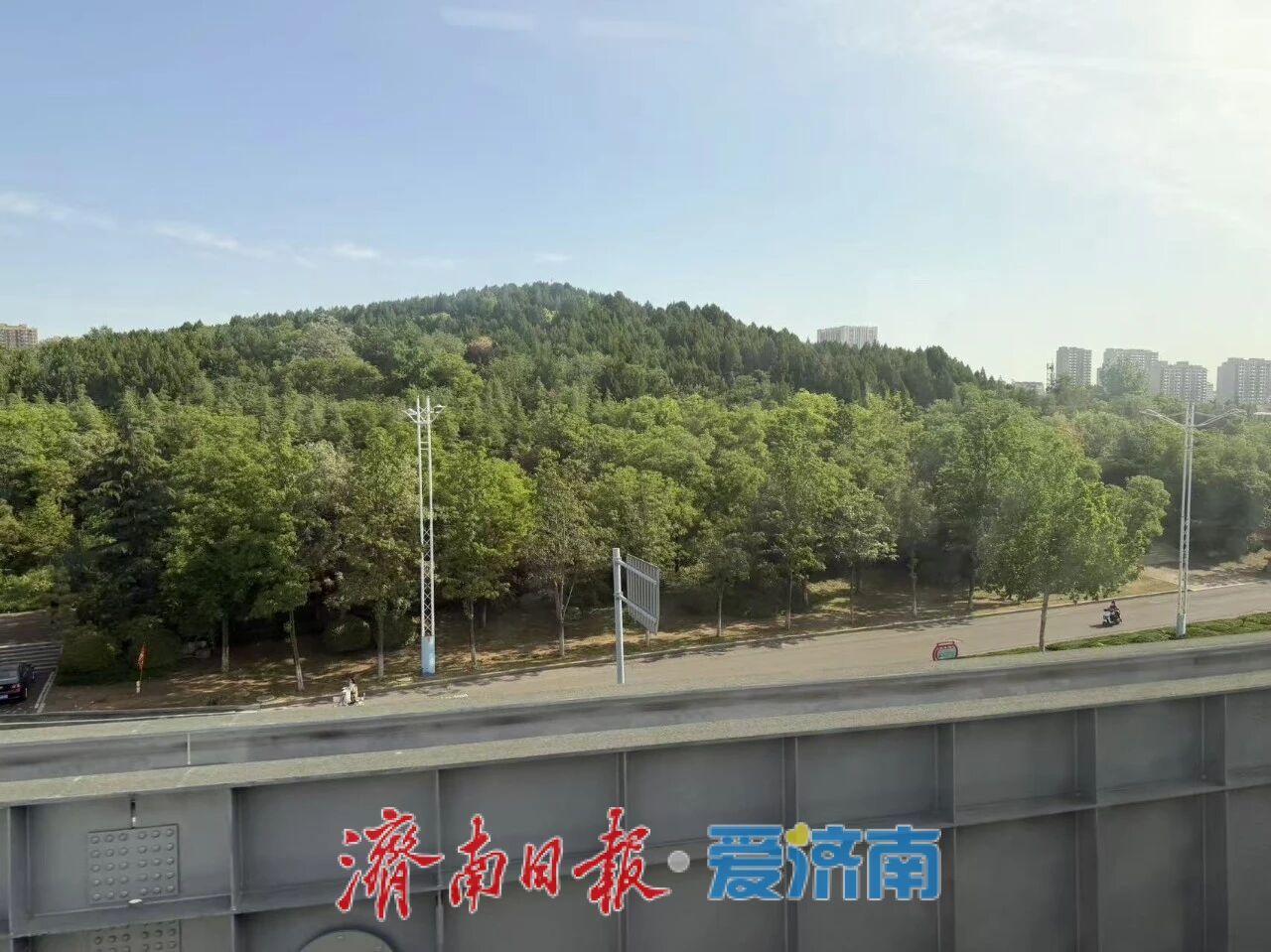 云巴穿行处，新城正“生长” 云巴显著提升东部居民通勤体验