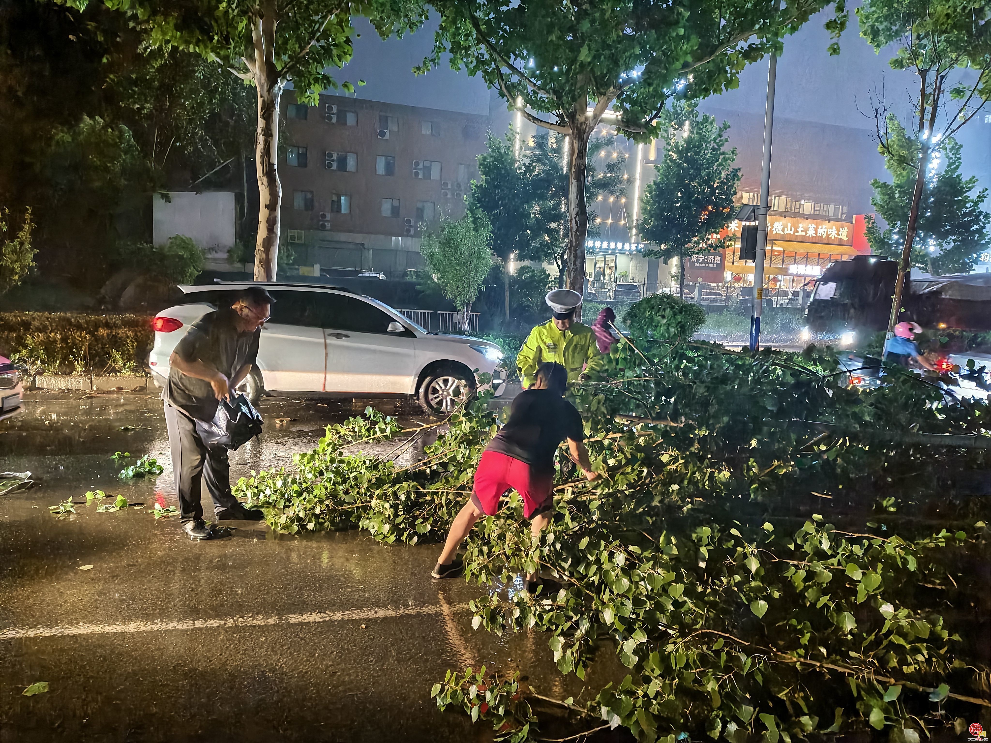 疾风骤雨致大树倾倒阻断交通 济南公交南部五队连夜清理保畅通