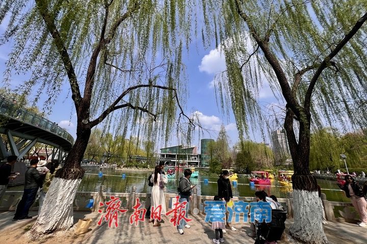 周末暖阳引客来 泉城春水泛舟忙