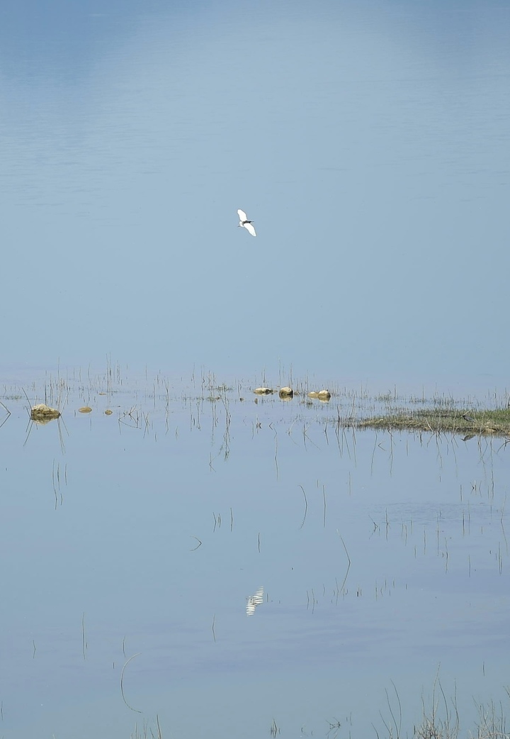 天朗气清，初夏卧虎山水库呈现“天空之镜”美色