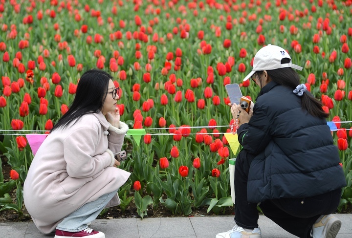 春花烂漫时，“郁”见你真好