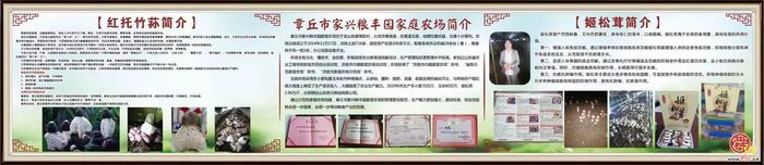 “这里是章丘！”·美食篇·龙山