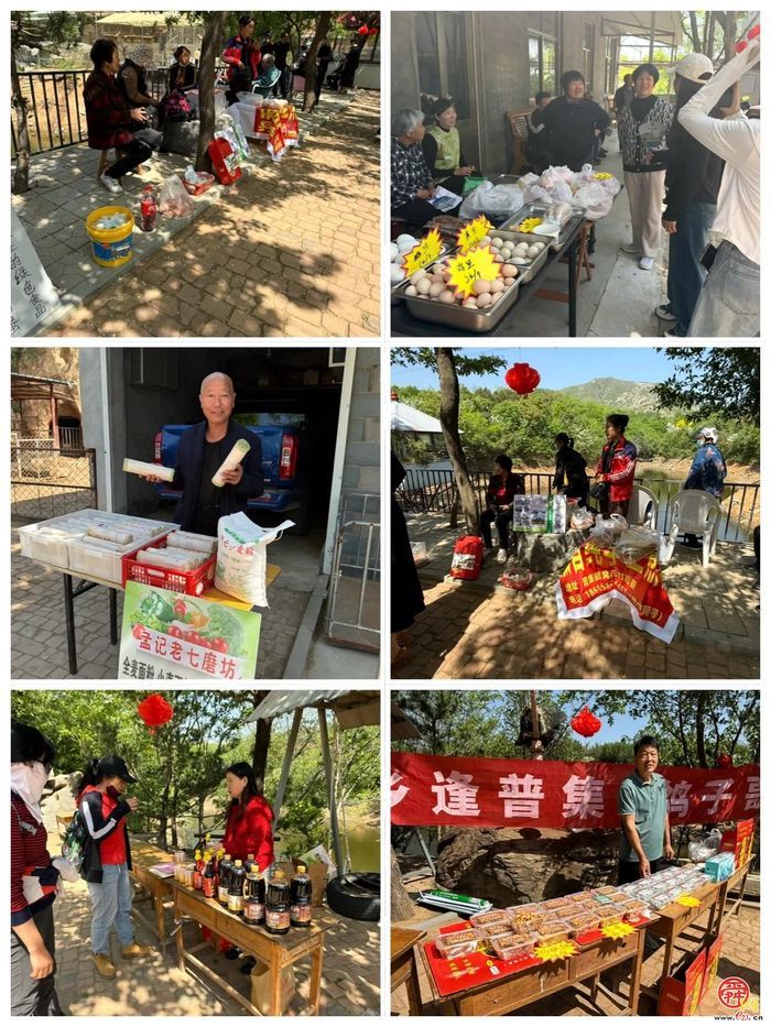 普集街道杨官党建工作区第二届流苏赏花节开幕啦！