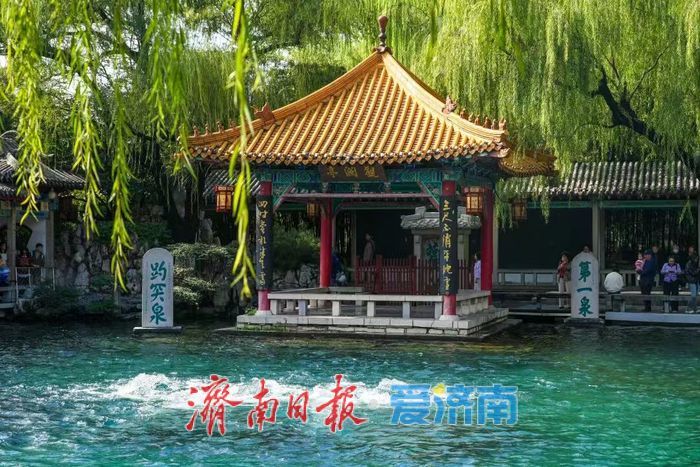 30.29米！趵突泉地下水位创60年来最高记录！