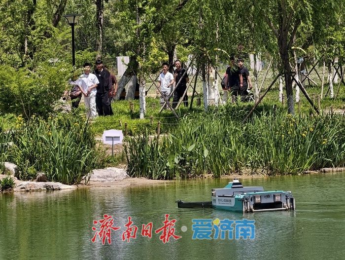 科技“水上环卫工”上岗，白泉湖面清洁实现无人化
